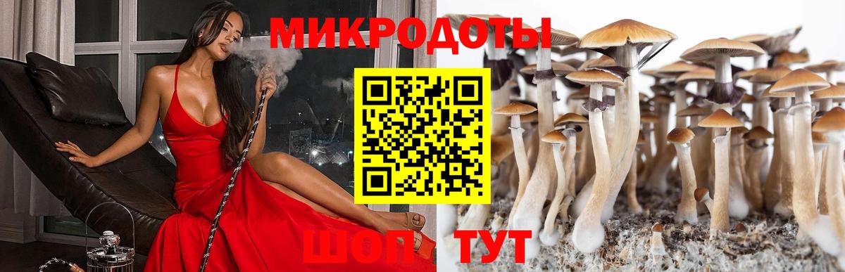 Псилоцибиновые грибы мицелий Усолье-Сибирское